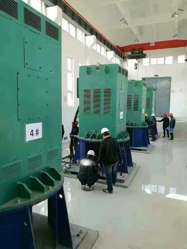 国营南滨农场某污水处理厂使用我厂的立式高压电机安装现场