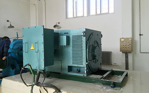 国营南滨农场某水电站工程主水泵使用我公司高压电机