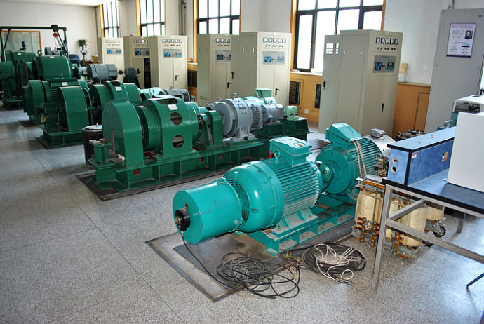 国营南滨农场某热电厂使用我厂的YKK高压电机提供动力